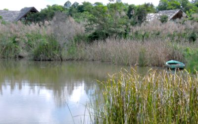Embracing silence in coaching