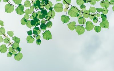 The importance of your physical environment