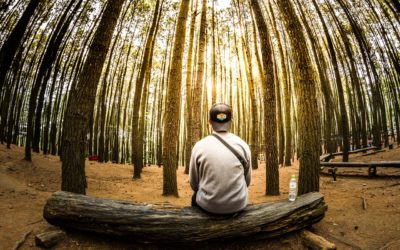 Integrating the past