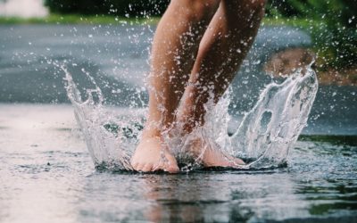Drowning in a shallow pool