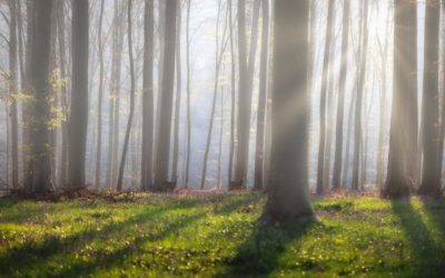 Acceptance is not about inaction