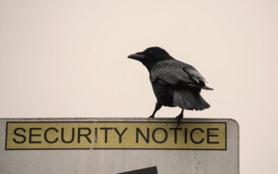 Avoiding time wasters