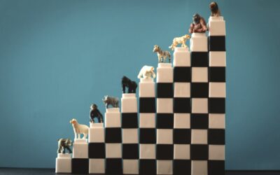 Inattentional blindness