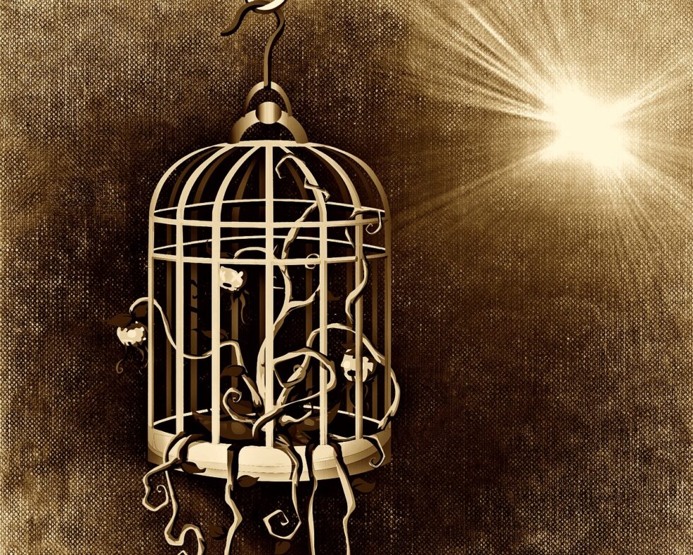 Golden cage - Trappings of modern corporate employment